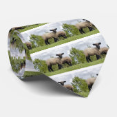 sheep ネクタイ (ロール)