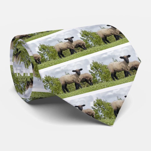 sheep ネクタイ (ロール)