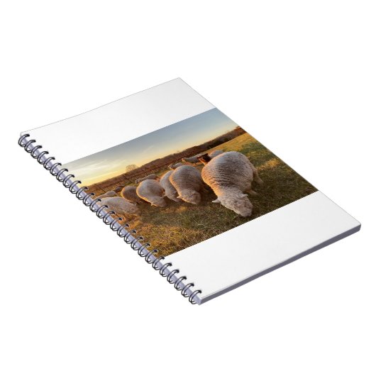 Sheep ノートブック (右側)