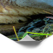 SHEEP ポスター (角)