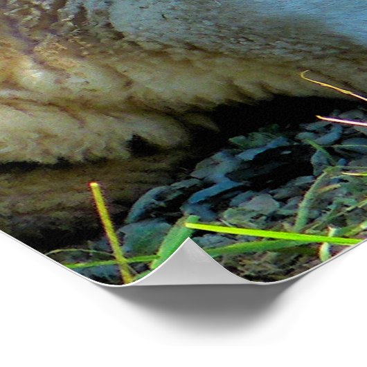 SHEEP ポスター (角)