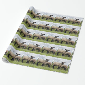 sheep ラッピングペーパー