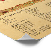 Sheep Anatomy Atlas Chart ポスター (角)