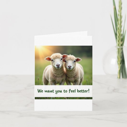 Sheep Friends Get Well Card カード (正面)