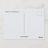 Sheep in Rural Romania ポストカード (裏面)