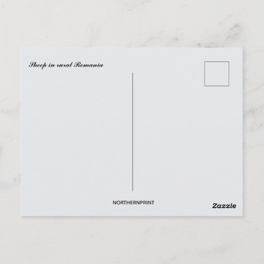 Sheep in Rural Romania ポストカード (裏面)