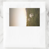 Sheep Lofoten Islands自然写真 長方形シール (バッグ)