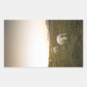 Sheep Lofoten Islands自然写真 長方形シール (正面)