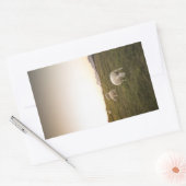 Sheep Lofoten Islands自然写真 長方形シール (封筒)