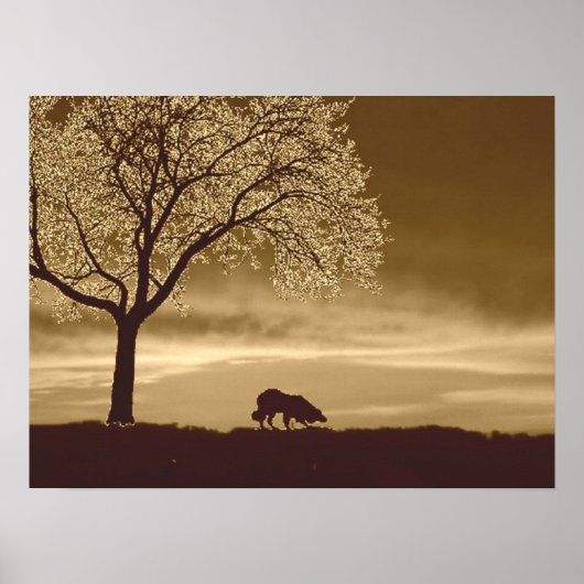 「Sheep on the Horizon 3」～コリー縁どポスター ポスター (正面)