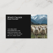 Sheep Ranching – Livestock, Wool Production 名刺 (裏面)