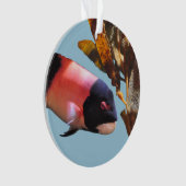 Sheepsheadのクリスマスのオーナメント オーナメント (正面)