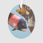 Sheepsheadのクリスマスのオーナメント オーナメント (正面)