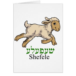 "Shefeleh"の-小さい子ヒツジ