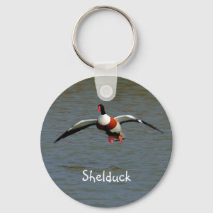 Shelduck キーホルダー
