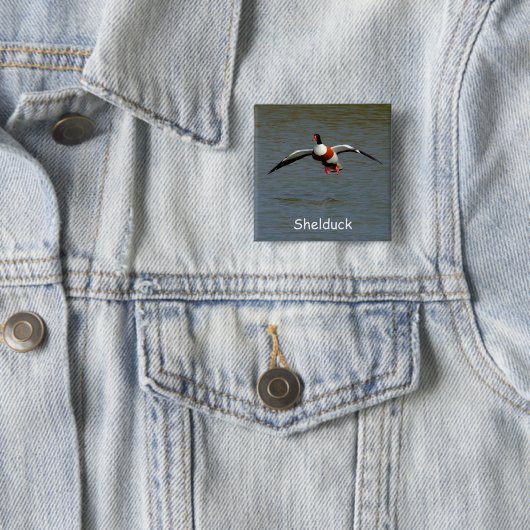 Shelduck 缶バッジ (インサイチュ)