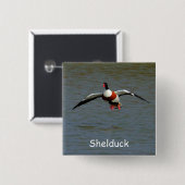 Shelduck 缶バッジ (正面&裏面)