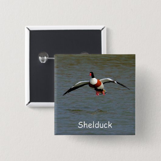 Shelduck 缶バッジ (正面&裏面)
