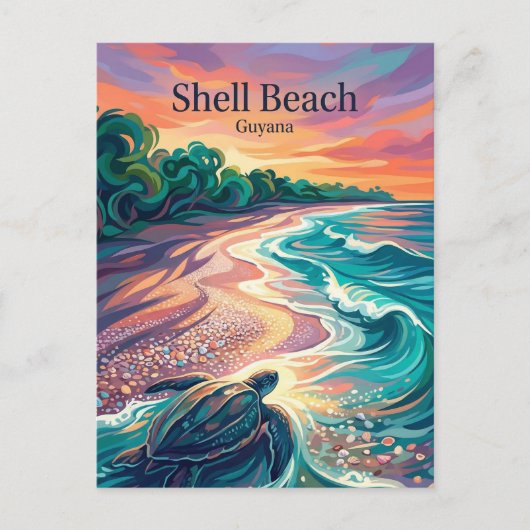 Shell Beach Guyana ポストカード (正面)