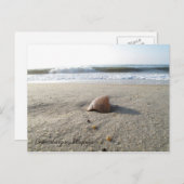 Shell Chincoteague，バージニア ポストカード (正面/裏面)