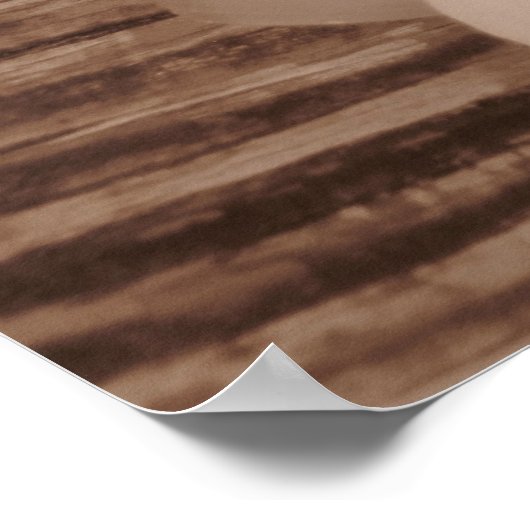 Shell Collection ポスター (角)