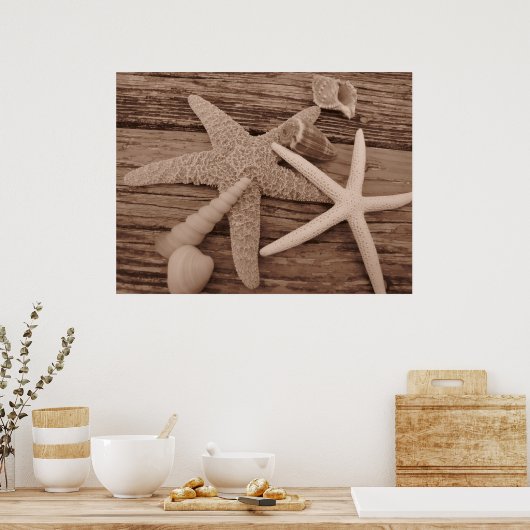 Shell Collection ポスター (キッチン)