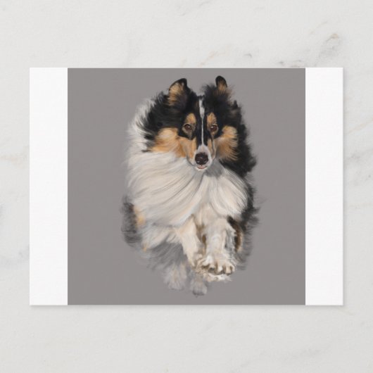 Shellie on the move ポストカード (正面)