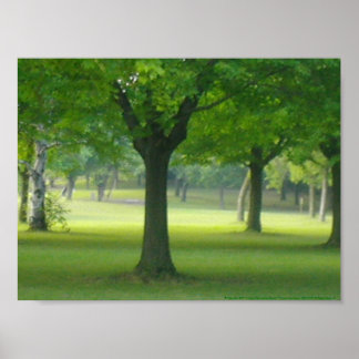 Shellis Canvas Print, unframed "The魔法・フォレスト" ポスター
