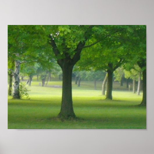 Shellis Canvas Print, unframed "The魔法・フォレスト" ポスター (正面)