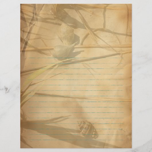 Shells in Grass Vintage Lined Binder Paper チラシ (正面)