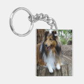 Sheltie in the woods キーホルダー (正面左)