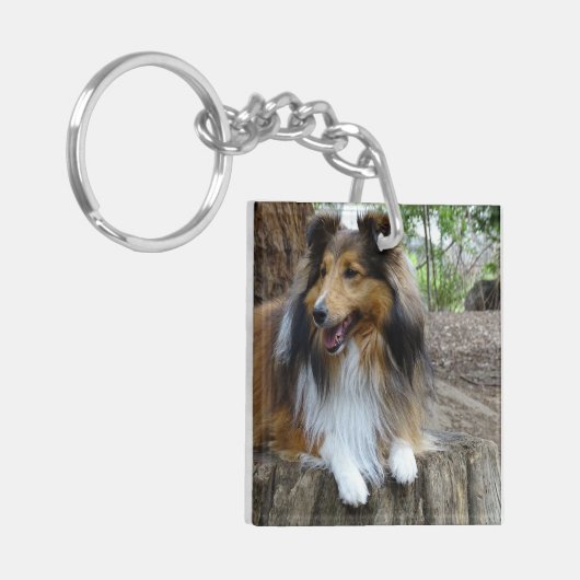 Sheltie in the woods キーホルダー (正面左)