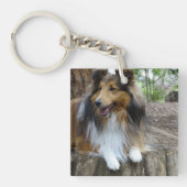 Sheltie in the woods キーホルダー (正面)