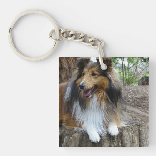 Sheltie in the woods キーホルダー (正面)