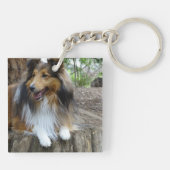Sheltie in the woods キーホルダー (裏面)