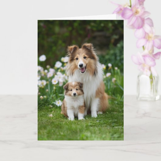 Sheltie Mom Mother’s Day Love カード (蘭)