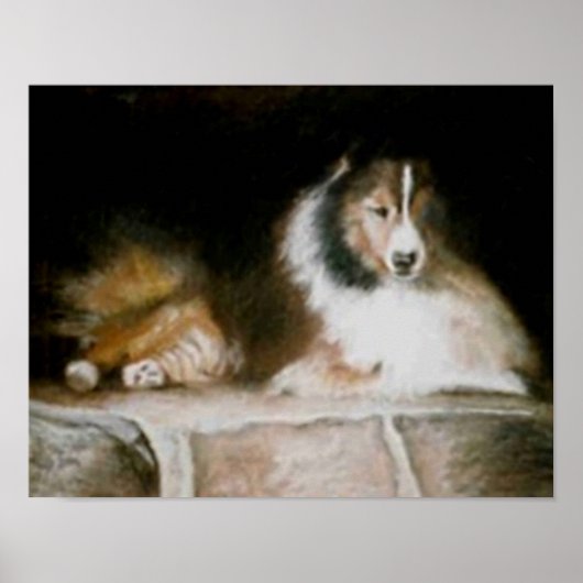 Sheltie Poster ポスター (正面)