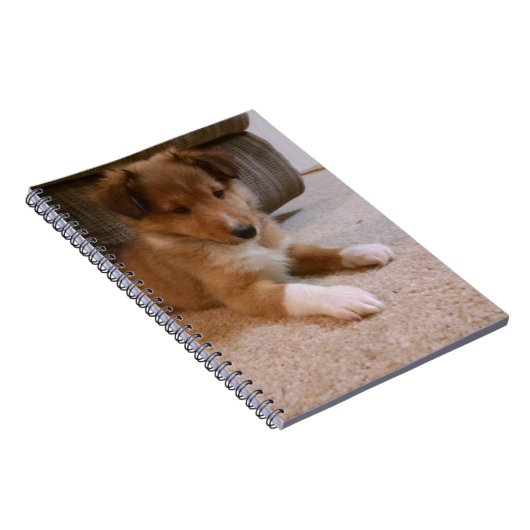 sheltie puppy ノートブック (右側)