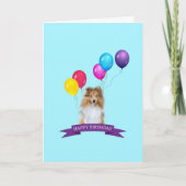 Sheltie Shetland Sheepdog Happy Birthday Card カード (正面)