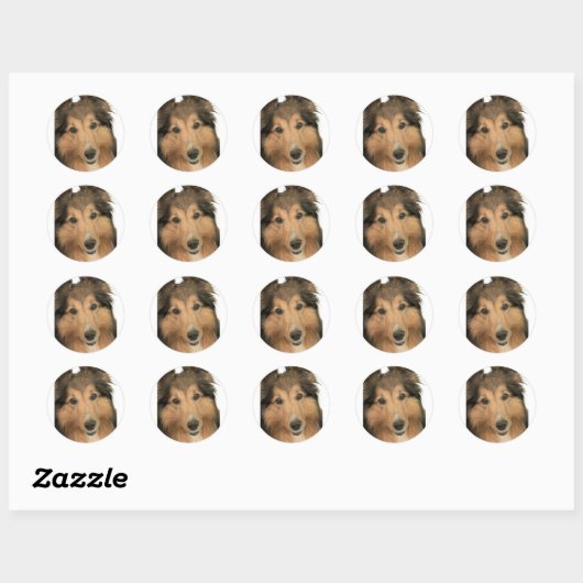 Sheltie Stickers ラウンドシール (シート)