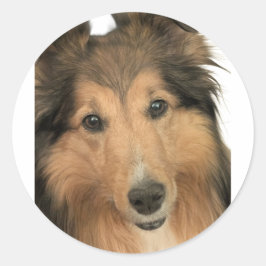 Sheltie Stickers ラウンドシール