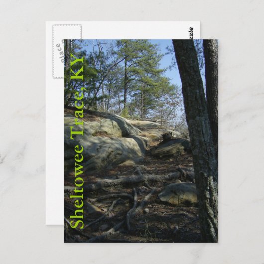 Sheltowee Trace、KY ポストカード (正面/裏面)