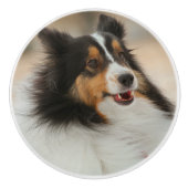 Shelty セラミックノブ (正面)