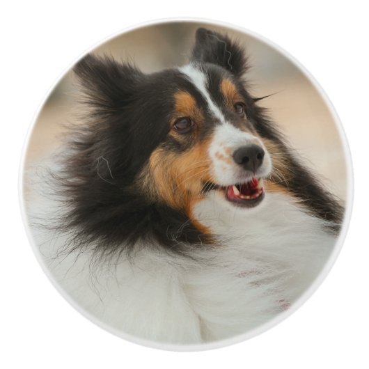 Shelty セラミックノブ (正面)