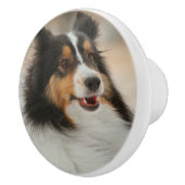 Shelty セラミックノブ (右)