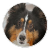 Shelty セラミックノブ (正面)