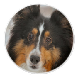 Shelty セラミックノブ