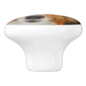 Shelty セラミックノブ (側面)