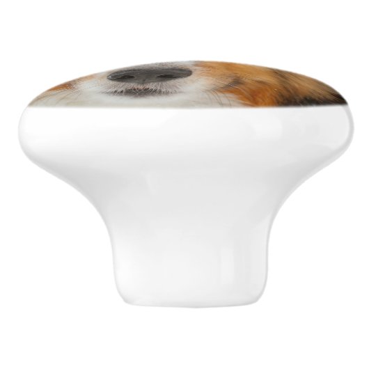 Shelty セラミックノブ (側面)