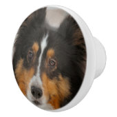 Shelty セラミックノブ (右)